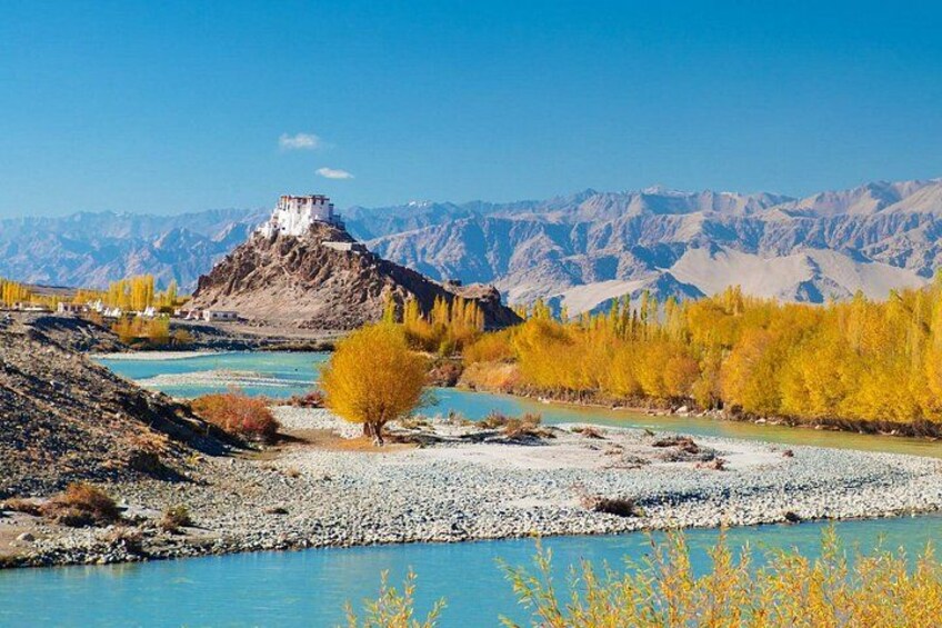 Authentic Ladakh on a Budget 6 Days Cultural Tour 2