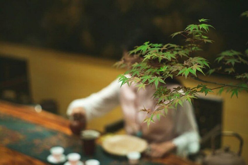 A dining table with a person in a pink shirt, a green plant, and some dishes. 3