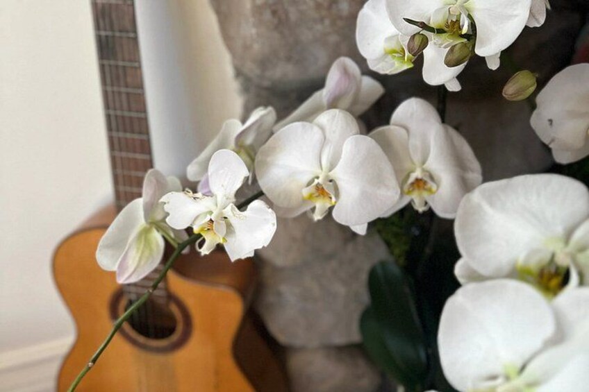 White orchids, a guitar, and a stone wall. 1
