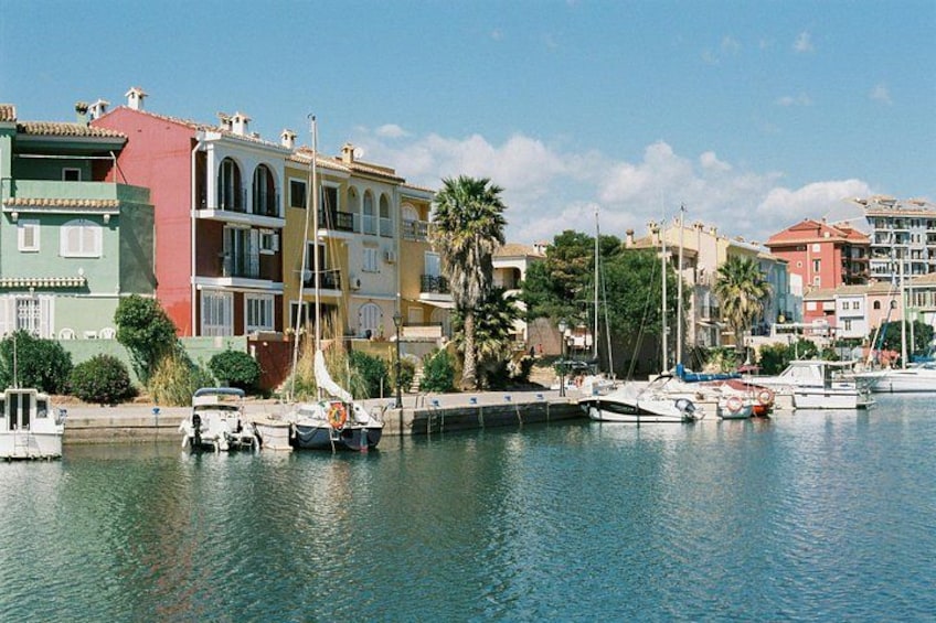 A marina with boats docked, a waterfront building, and palm trees. 3