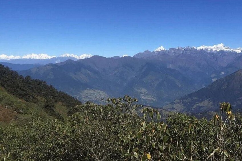A mountainous landscape with snow-capped peaks and dense vegetation in the foreground. 5