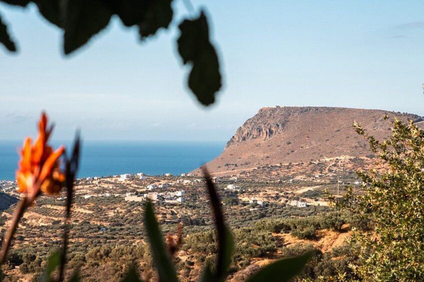 A coastal landscape with a hill, vegetation, and a distant town. 3