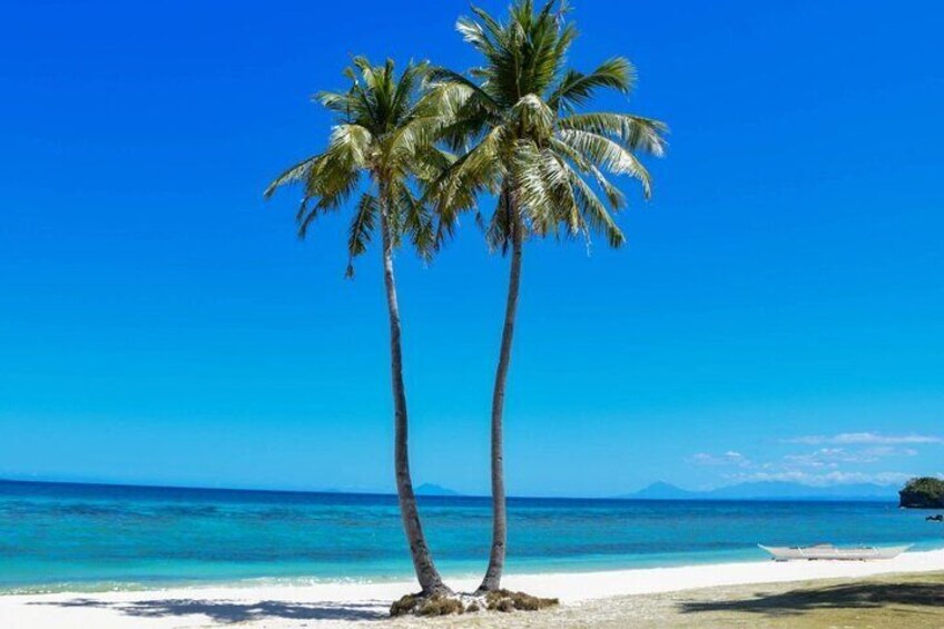 A beach with two palm trees and a clear blue sky. 5