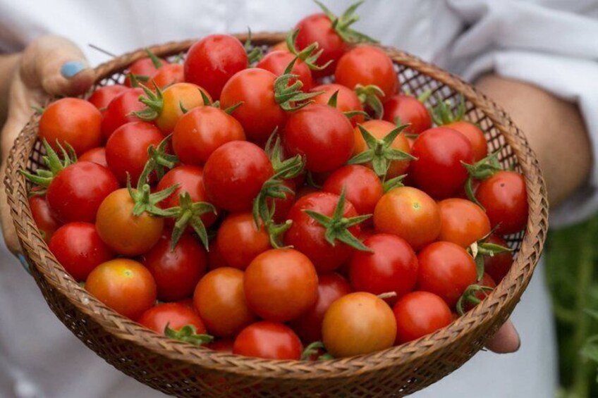 A basket filled with cherry tomatoes. 4