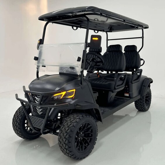 A black golf cart with a transparent windshield, black seats, and a black roof. 2