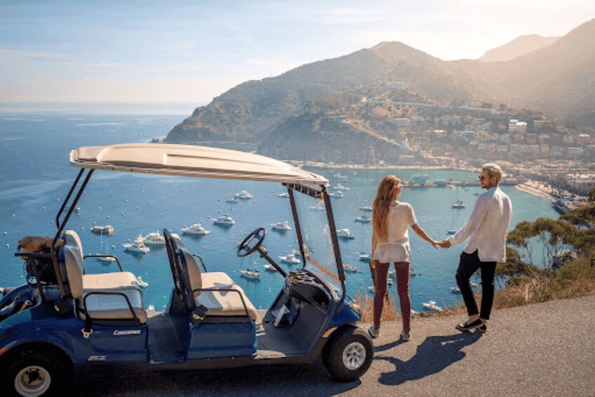 Picture 2 for Activity Ensenada: Golf Car Rental 5