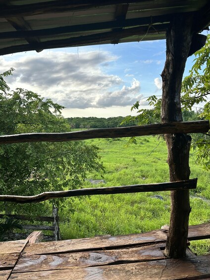 A wooden bench overlooking a grassy field with trees and a cloudy sky. 1