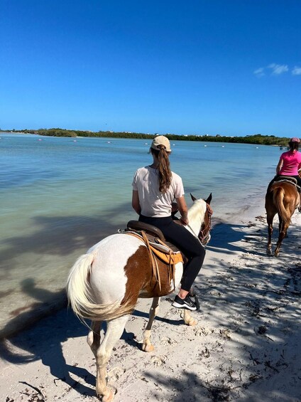 Holbox: Private Horseback Riding 1