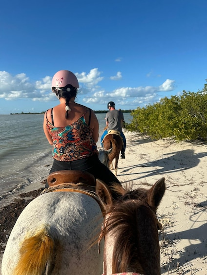Picture 2 for Activity Holbox: Private Horseback Riding 4