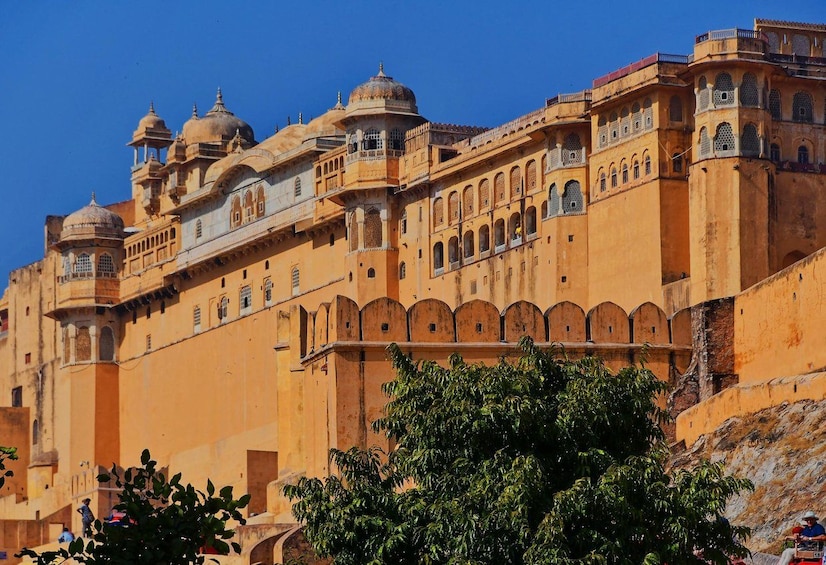 Picture 1 for Activity Jaipur: Explore City Heritage Sites & Amber Fort Guided Tour 2