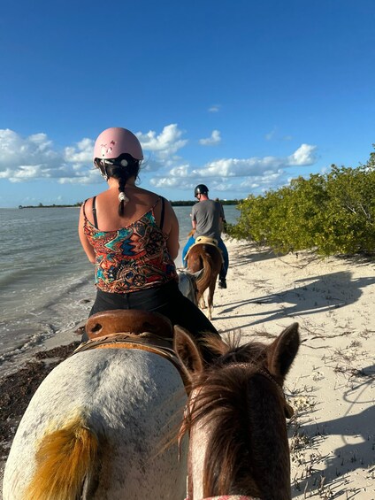 A person riding a horse along a sandy beach with water and greenery in the background. 2