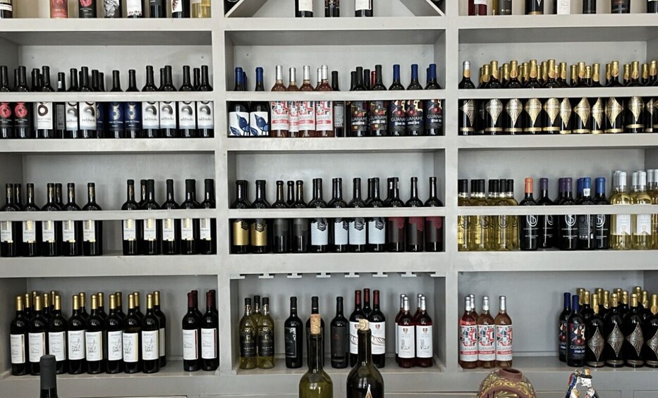Picture 4 for Activity San Miguel de Allende: A Journey Through Vineyards 3