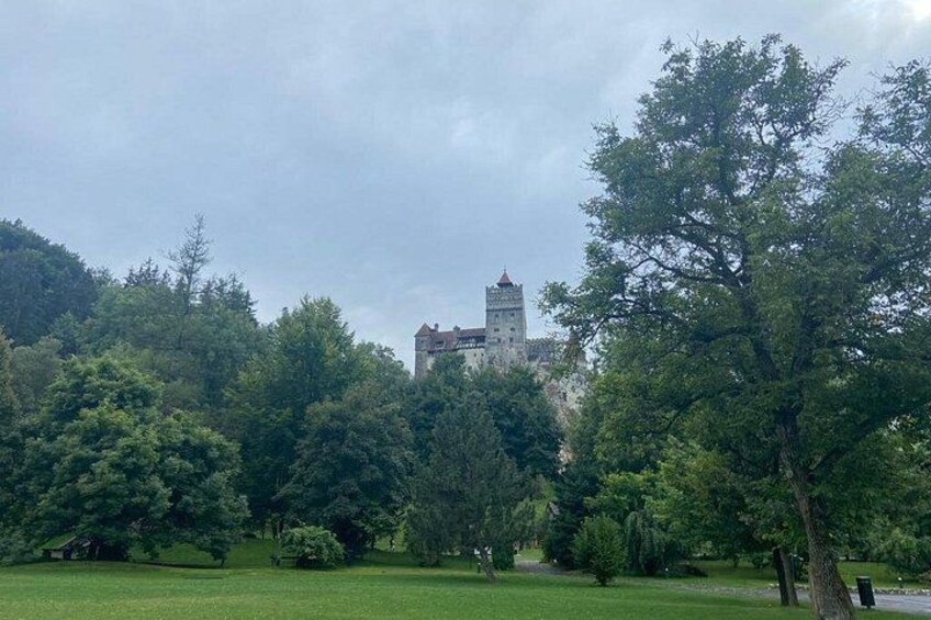 A castle on a hill, surrounded by a park with trees and grass. 2