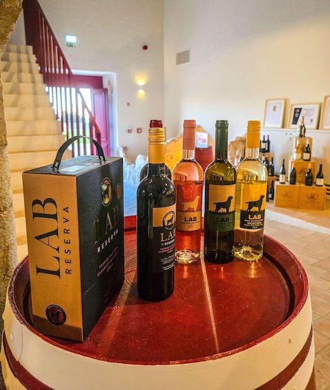 Historic centre & Wine tasting 2