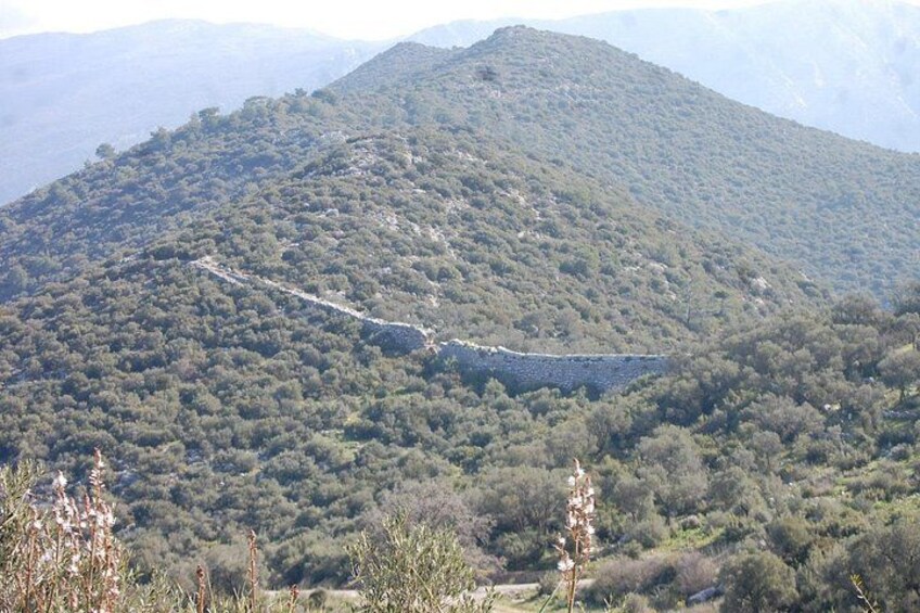 Un paisaje montañoso con vegetación densa y un camino sinuoso. 2