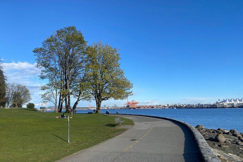 A paved path alongside a body of water, with trees and a distant view of buildings. 5