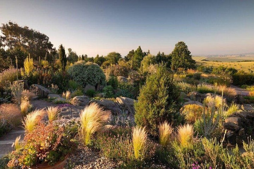 RHS Garden Hyde Hall 3