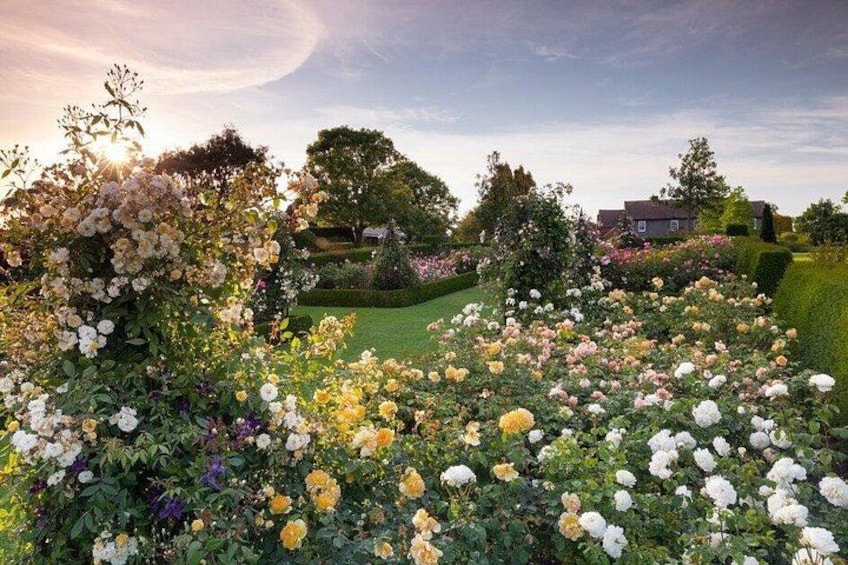 RHS Garden Hyde Hall 2