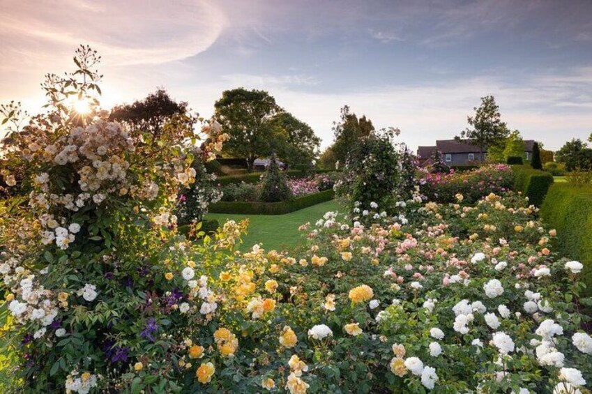 A garden with various flowers, a lawn, and a house in the background. 2
