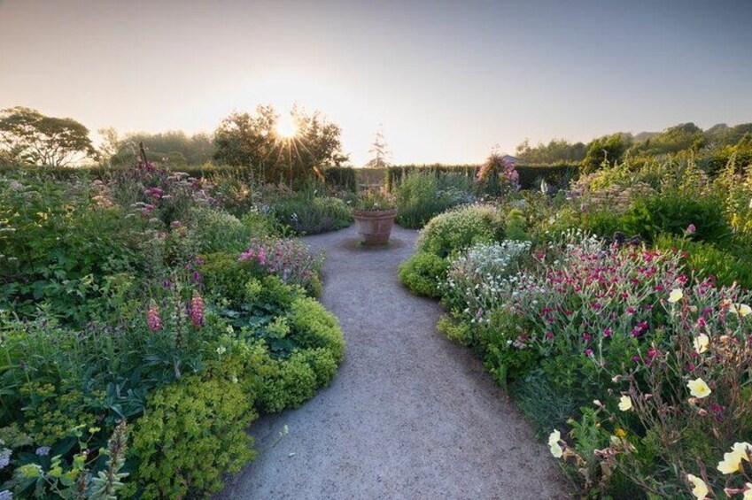 A garden path with various plants and flowers. 5