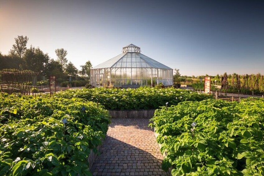 A greenhouse surrounded by lush green plants, a paved pathway, and a clear sky. 4