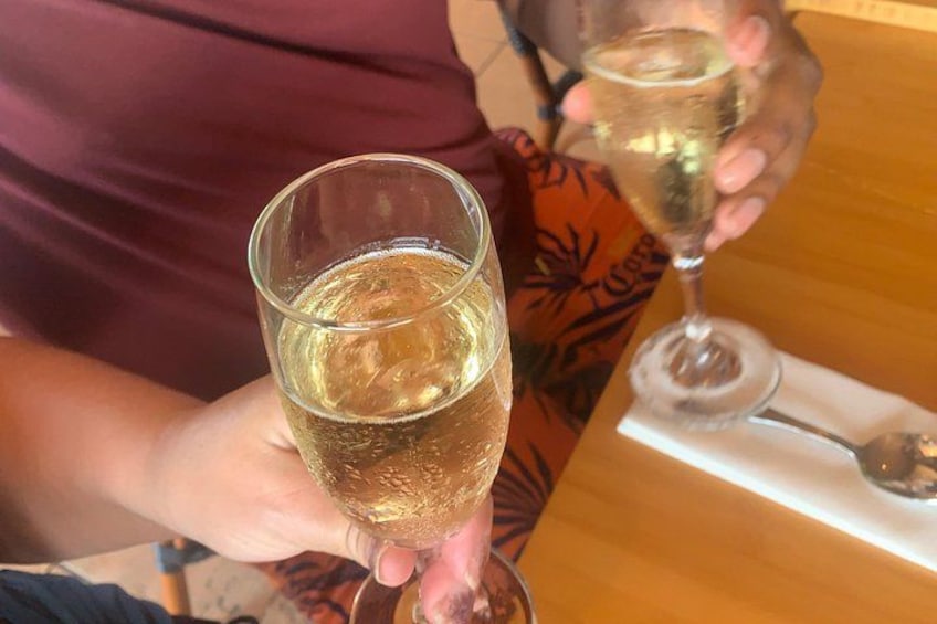 Una persona sosteniendo una copa de vino blanco. 3