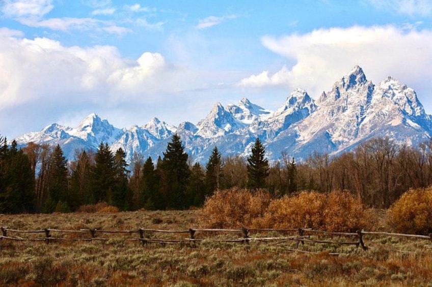 Yellowstone Full Day Lower Loop Van Tour 2