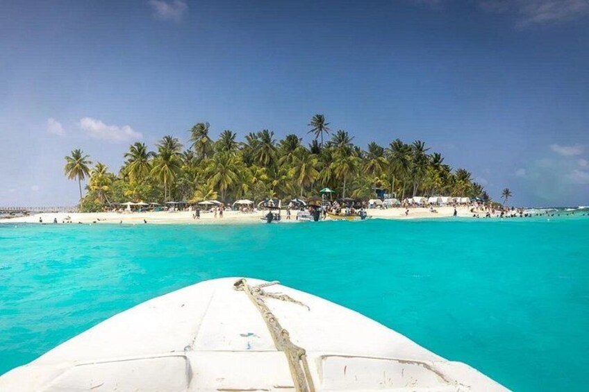5 Tours in 1 : Johnny Cay, Haynes Cay Aquarium, Bahia and Mangroves 5