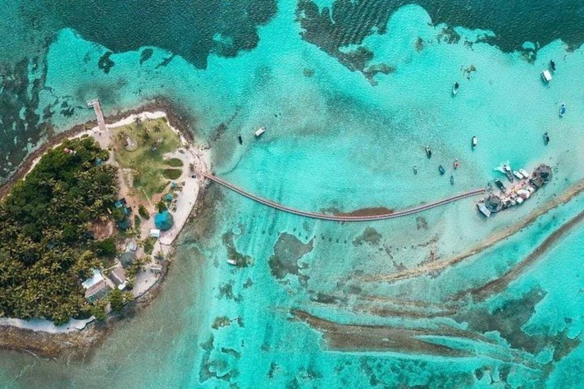 5 Tours in 1 : Johnny Cay, Haynes Cay Aquarium, Bahia and Mangroves 3
