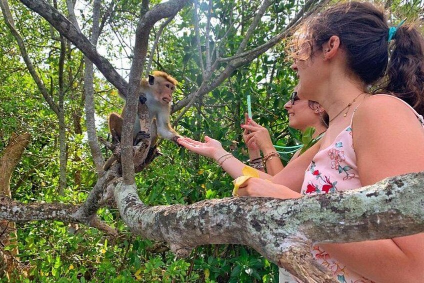 Galle: Koggala Lake Boat Safari with Monkeys Birds & Nature 5