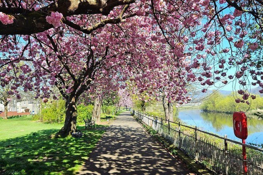 The Ultimate E Bike Tour of Stirling: The Best Way to See More 2