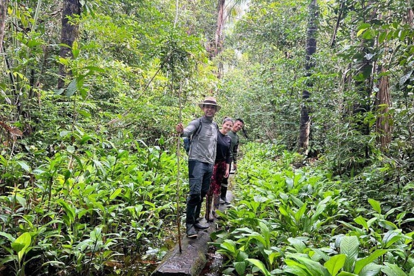 A group of people walking on a narrow path through a dense forest. 4