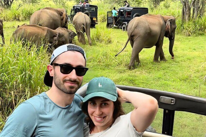 Udawalawe National Park Private Jeep Safari Elephants 3