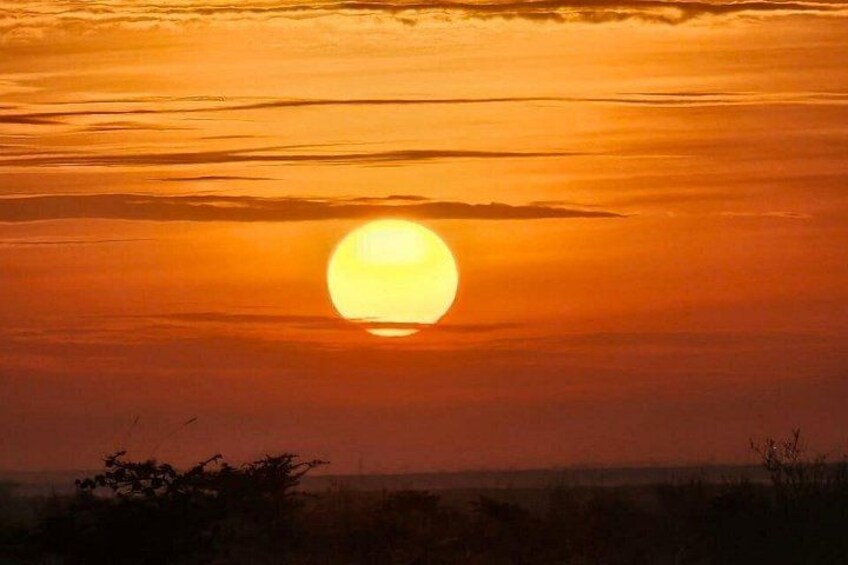2 Days 1 Night Amboseli National Park 4