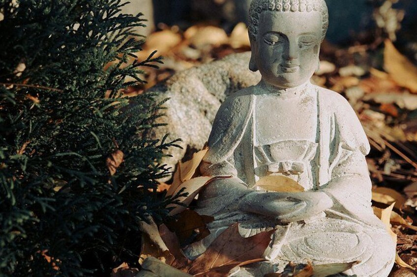 A statue of a seated figure holding a bowl, surrounded by fallen leaves and a small tree. 4