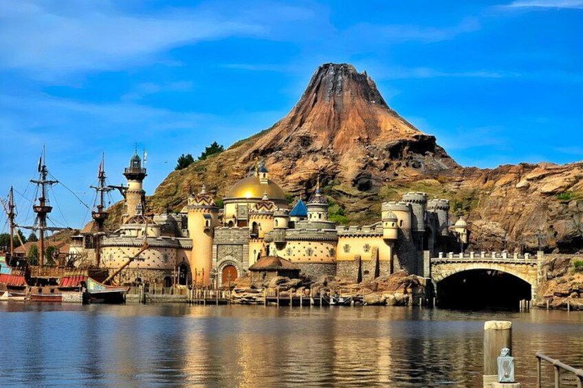Tokyo Disney & City: Private Tour, Ticket & Airport Transfer 3