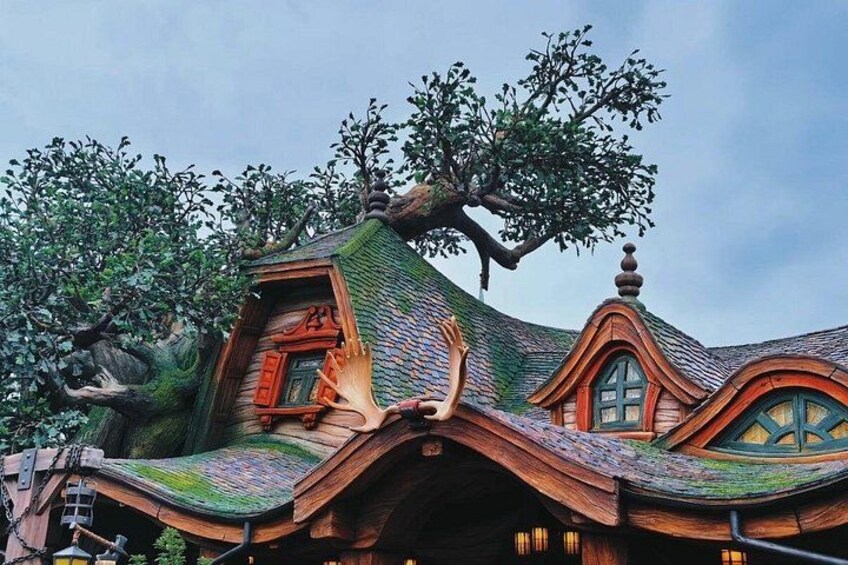 Tokyo Disney & City: Private Tour, Ticket & Airport Transfer 2