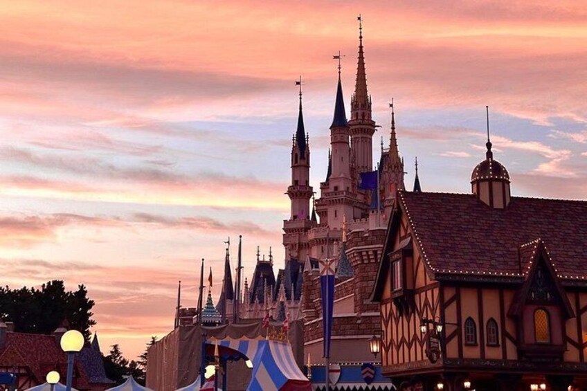 Tokyo Disney & City: Private Tour, Ticket & Airport Transfer 5