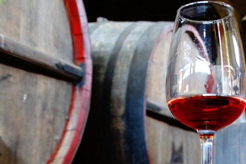 Cheeses & Wines of Colonia: A Gourmet Private Experience 2