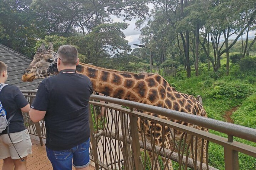 Explore Giraffe Centre, Karen Blixen & Traditional dances expo 3
