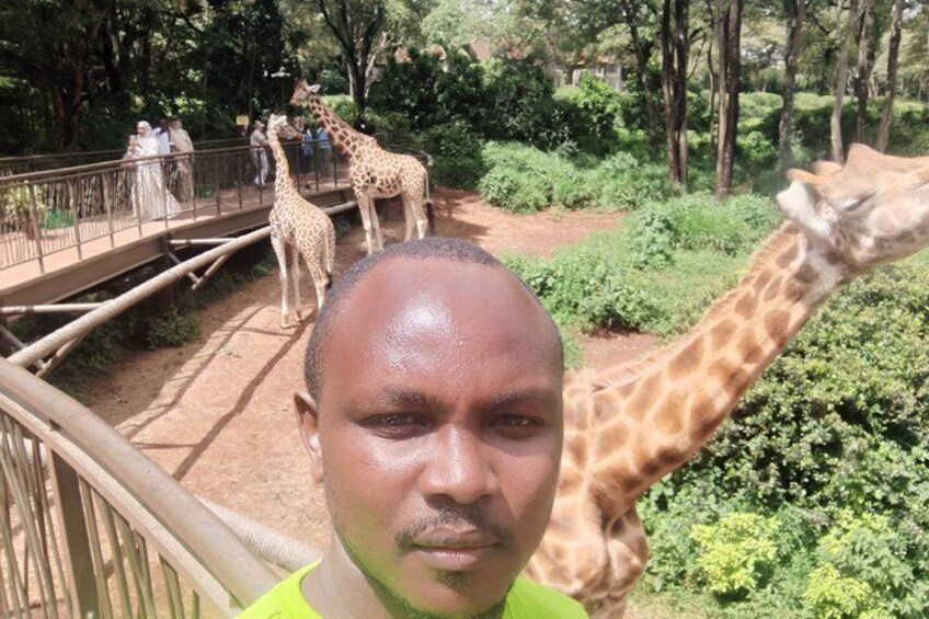 Explore Giraffe Centre, Karen Blixen & Traditional dances expo 2