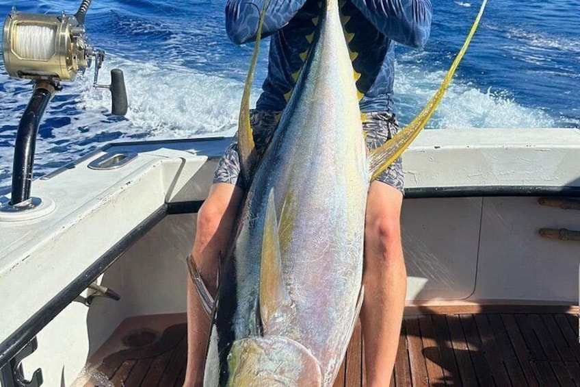 Caught Ahi (Yellow fin Tuna). 2