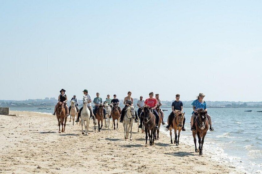 Horse ride on the beach with gastronomic tasting 2