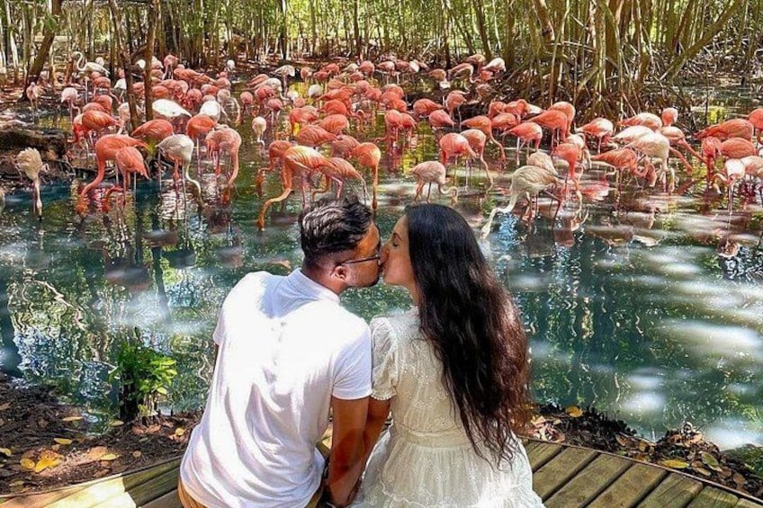 A couple kissing in front of a pond with flamingos. 1