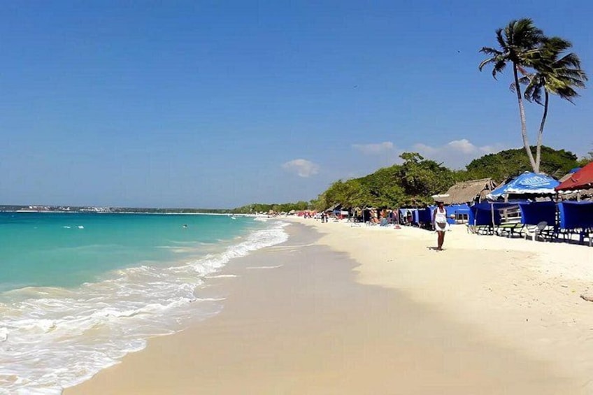 A beach with clear turquoise water, a sandy shore, and palm trees. 2