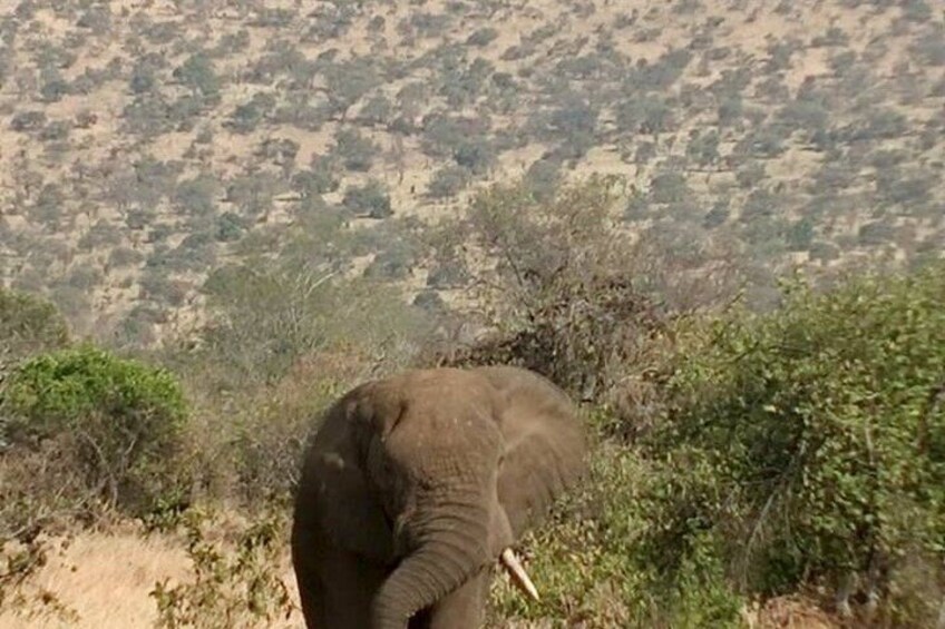 Rwanda Safari - 1 Day Akagera Big Five Safari from Kigali 3