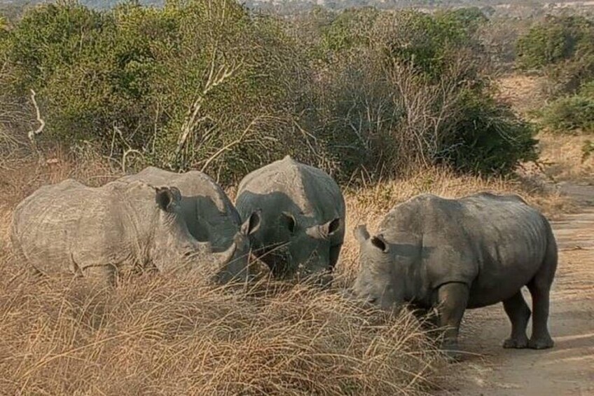 Rwanda Safari - 1 Day Akagera Big Five Safari from Kigali 2