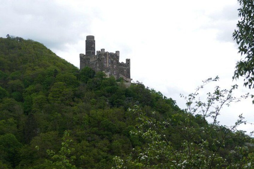 A medieval castle on a hill surrounded by dense forest. 3
