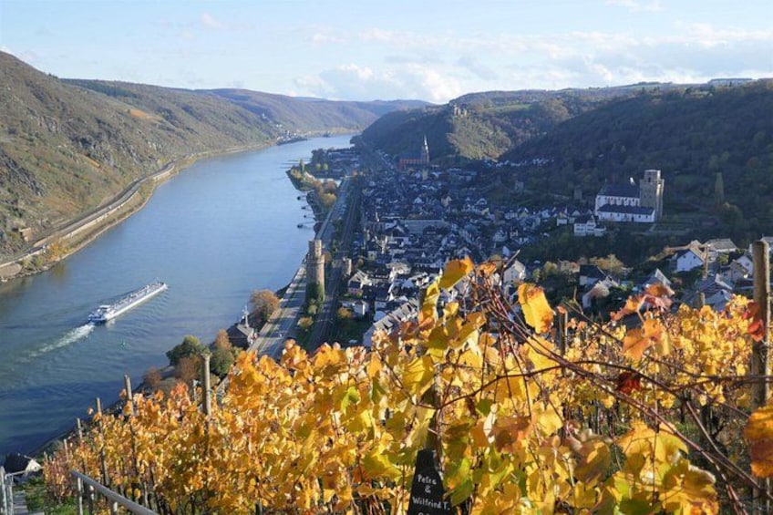 Koblenz to UNESCO World Heritage Site Upper Middle Rhine Valley 1