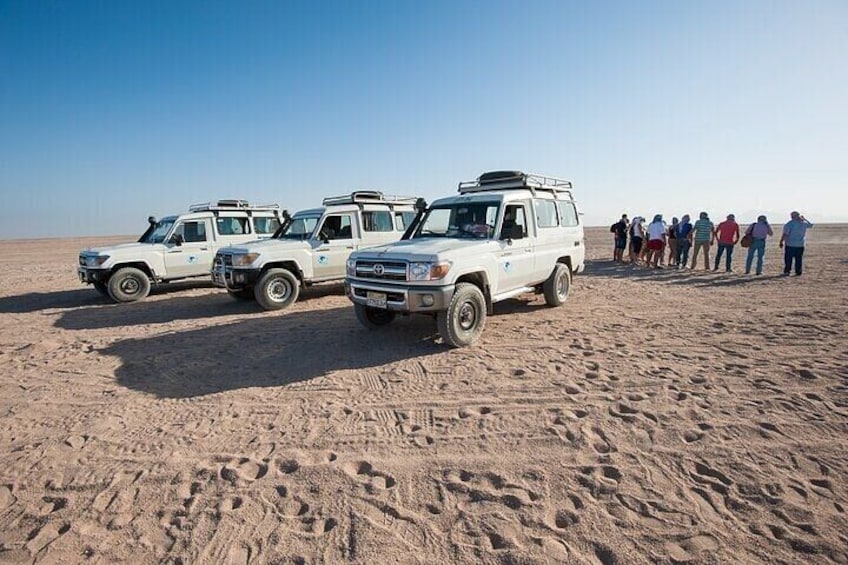 Three white off-road vehicles parked on a sandy beach with a group of people standing in line behind them. 3